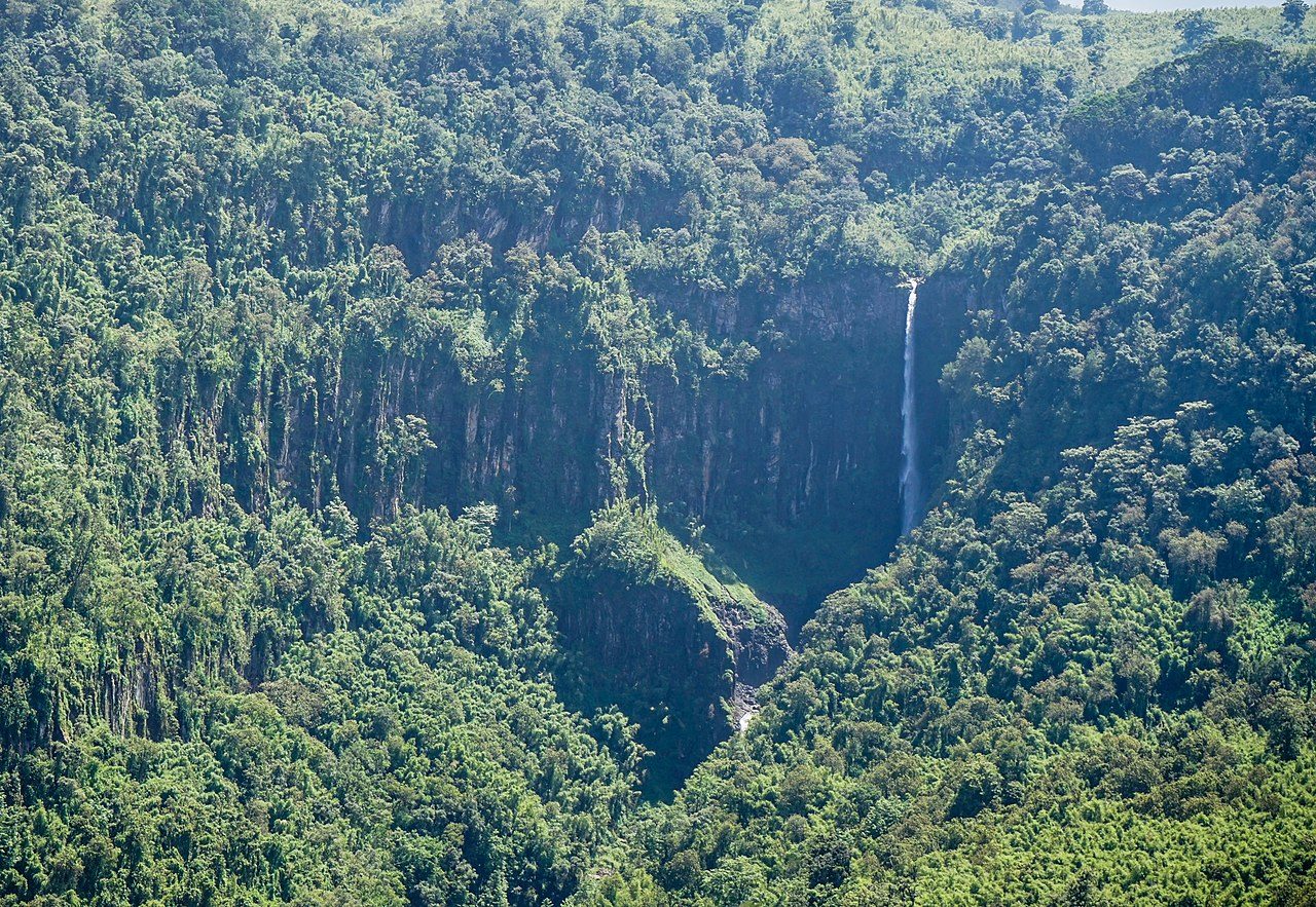 Aberdare National Park Kenya