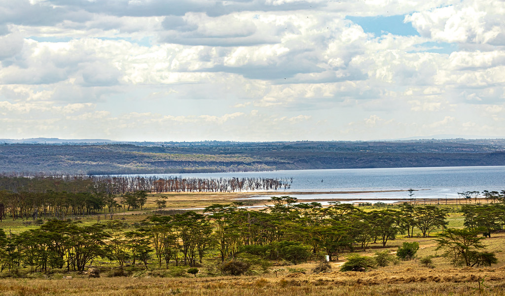 Lake Nakuru National Park views
