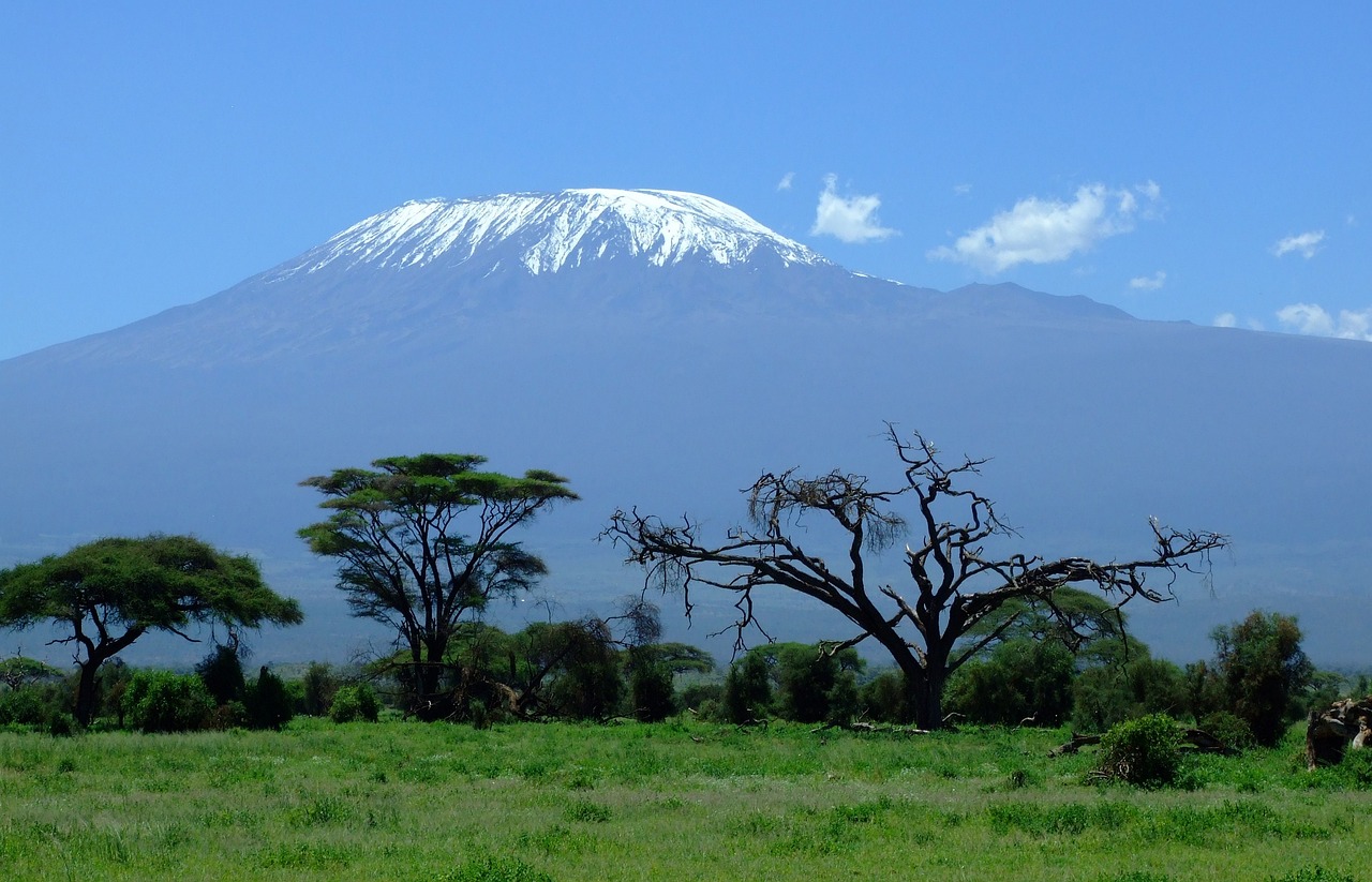 Mount Kilimanjaro amazing view