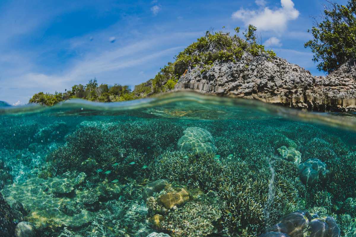 WATAMU MARINE NATIONAL PARK