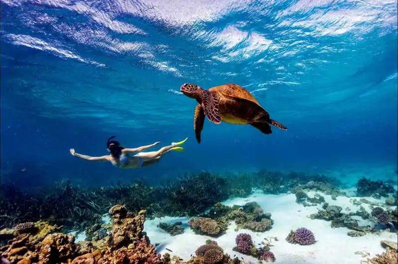 Watamu Marine National Park